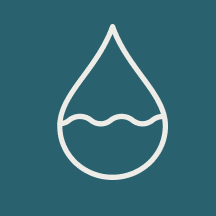 section icon